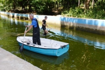 В Одессе еще один пруд в парке решили почистить от мусора (ФОТО)