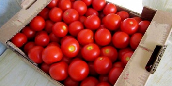 Запорожец украл помидоров на 700 гривен