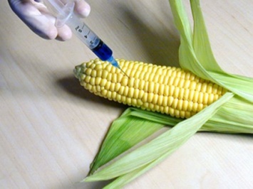 В Николаевской области разоблачили должностных лиц, которые разворовали оборудование для определения ГМО