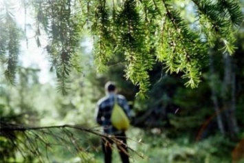 На Полтавщине нашли 16-летнего парня, который ушел в лес и не вернулся