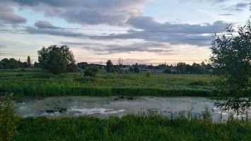 В Киевской области рыбак погиб от удара током на водоеме