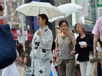 В Японии 15 человек погибли из-за жары