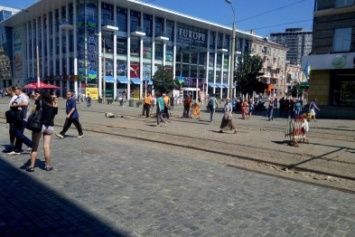 В центре Днепра ремонтируют трамвайные пути (ФОТО)
