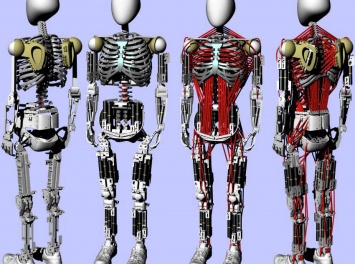 Японские ученые создали искусственный скелет с мышцами