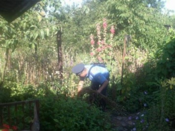 Более тысячи кустов снотворного мака вырастил в своем дворе житель Кировоградской области