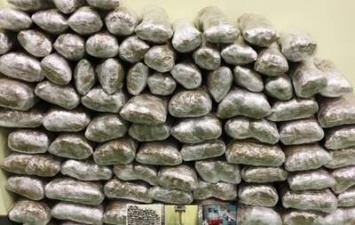 Польские таможенники задержали украинца с 27 кг марихуаны