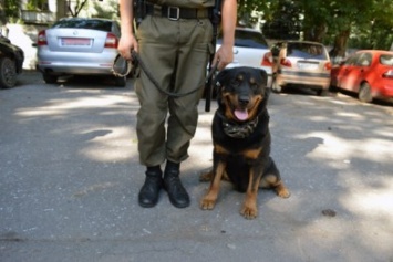 В Одессе на Черемушках нацгвардейцы с собаками держат в страхе грабителей (ФОТО)