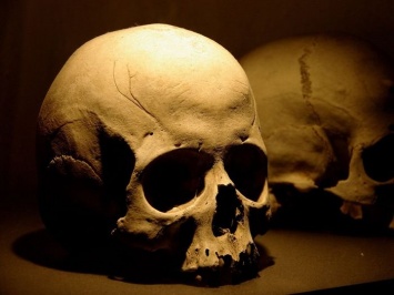 EBay запретил продажу человеческих черепов