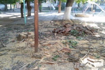 Подорожание газа привело к варварской вырубке деревьев в Николаеве (ФОТО)