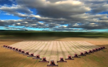 Американские фермеры рассказали о наполовину выброшенном урожае