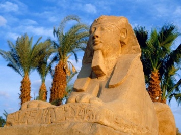 Египет на 85% выполнил требования России к безопасности в аэропортах