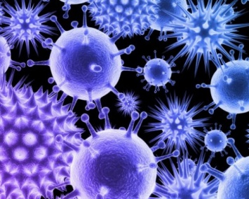 Ученые: Вспышки вирусов повлияли на эволюцию человека