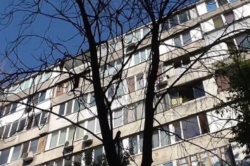 Кому мешают деревья в киевских дворах?