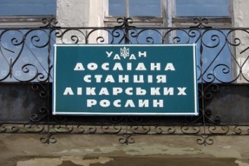 На Полтавщине сегодня празднует свое столетие единственная в Украине опытная станция лекарственных растений