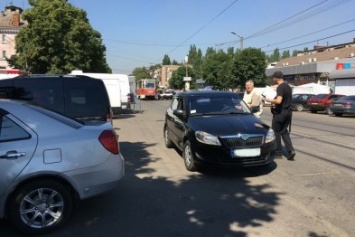 В центре Кривого Рога оса ужалила водителя, а он - полицейских (ФОТО)