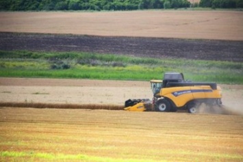 В Луганской области аграрии начали сбор урожая ранних зерновых и зернобобовых культур