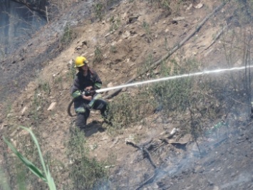 В Мелитополе тушат масштабный пожар (видео)