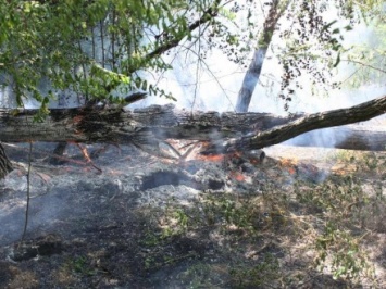 Вдоль детской железной дороги в Запорожье горел лес