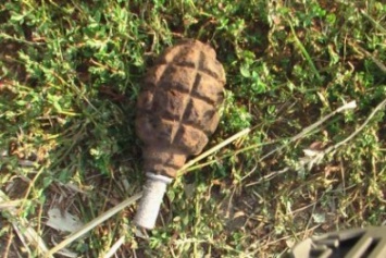 На Херсонщине лесничий нашел гранату времен 2 мировой войны