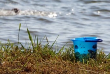 В Житомирском районе в водоеме неподалеку от дома утонула 2-летняя девочка