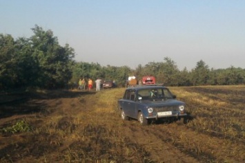 В Одесской области загорелось авто: Пламя перекинулось на пшеничное поле