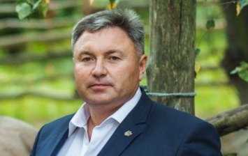 Гарбуз считает "критически важным" вернуть оккупированный Донбасс в течение года