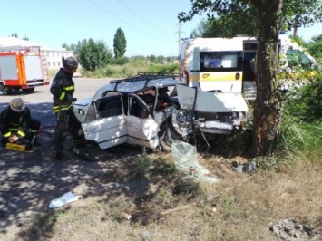 Авто с пятью пассажирами влетело в дерево в Запорожской области