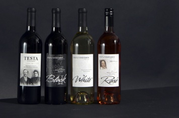 Ava - стартап, который «клонирует» дорогие вина на молекулярном уровне