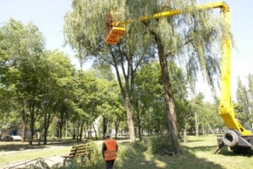 УГХ Покровска (Красноармейска) продолжает пилить деревья