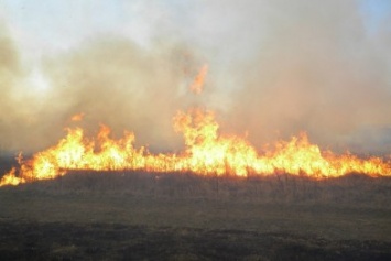 На Черниговщине горело более трех гектар сухой травы