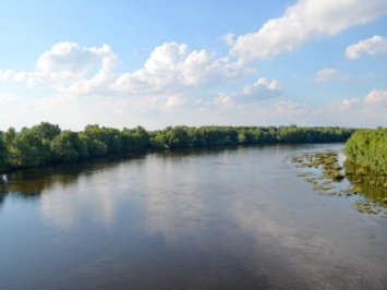 Госэкоинспекция сообщила о результатах исследования воды в реке Остер