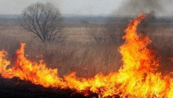 В Николаевском облсовете опасаются, что пожары могут привести к мусорному коллапсу