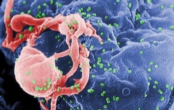Ученые нашли новый способ победить ВИЧ