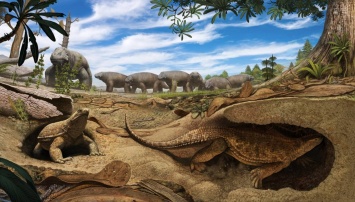 Палеонтологи пересмотрели функцию карапакса черепах