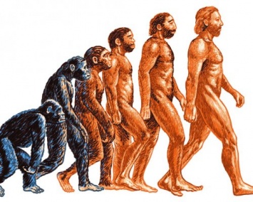 Ученые: Реликтовое изучение повлияло на человеческую эволюцию