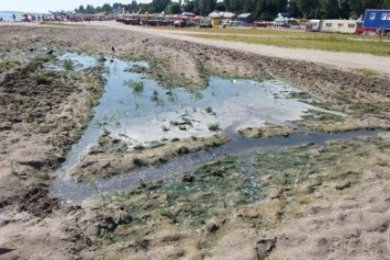 "Ну, так не купайтесь там", - мэр Скадовска местным жителям в ответ на обращение о стекающих в море нечистотах (фото)