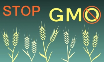 В Украине могут запретить ГМО до 2023 года