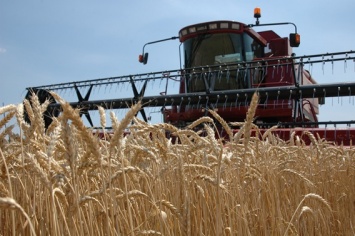 Николаевские хлеборобы уже намолотили 1,8 миллиона тонн зерна нового урожая
