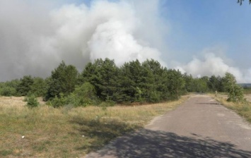 ГСЧС намерена до конца дня потушить пожар в Чернобыльской зоне