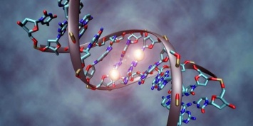 Ученые выяснили возможные типы мутации среди людей