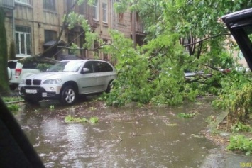 Упавшие ветки, поваленные деревья, пробки: в Харькове прошел сильный ливень (ФОТО, ВИДЕО)