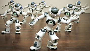 Участники олимпиады по робототехнике в РФ не боятся «восстания роботов»