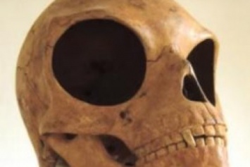 В Дании был найден череп внеземного происхождения