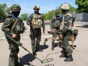 Саперы на Донбассе уничтожили более 90000 взрывоопасных предметов