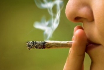 Правоохранители снова изымают марихуану. Чем грозит ее употребление