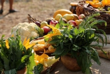 В эко-деревне "Радуга" под Херсоном состоится Всеукраинский фестиваль "Полноценного Питания"