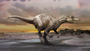 Палеонтологи описали новый вид мегараптора