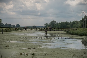 На Черниговщине река Остер погибла от токсичных отходов, а вода стала зеленого цвета