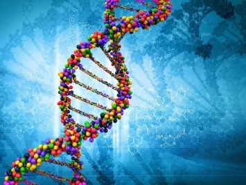 Ученые: Болезни передаются по наследству не только генами