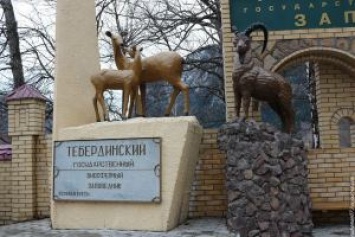 Россия: Центр для гостей открылся в Тебердинском заповеднике